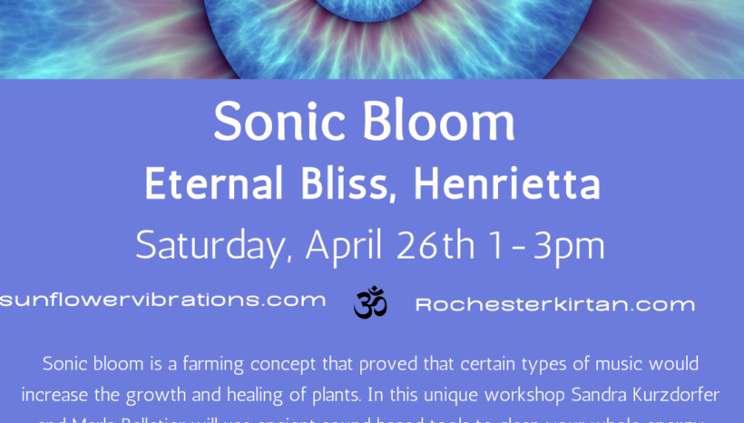 Sonic Boom